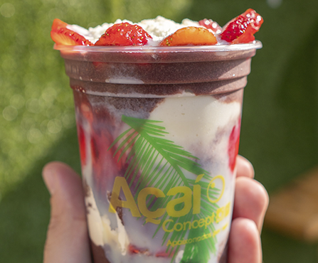 Novo Projeto - 2025-12-23T162728.272